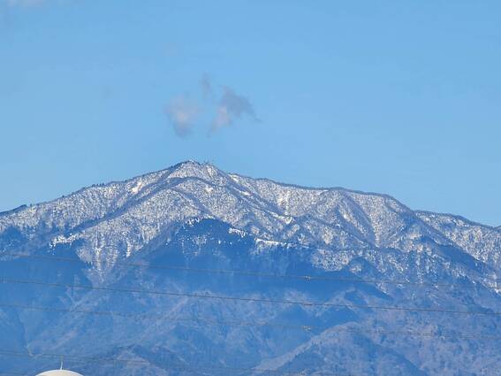 20240309_095316 (1).jpg