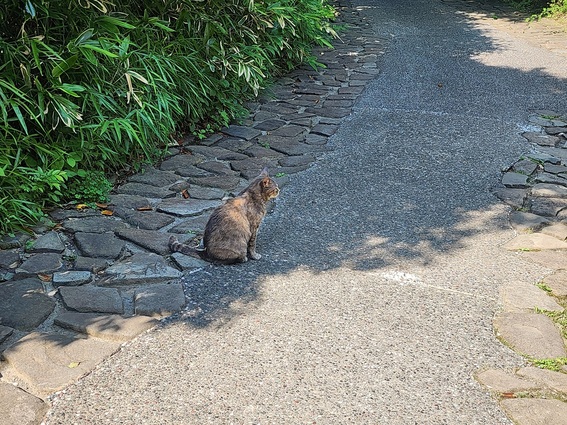 20240607_150603 (1).jpg