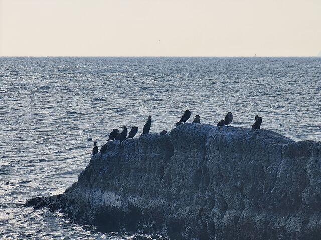 お衣裳のご試着について