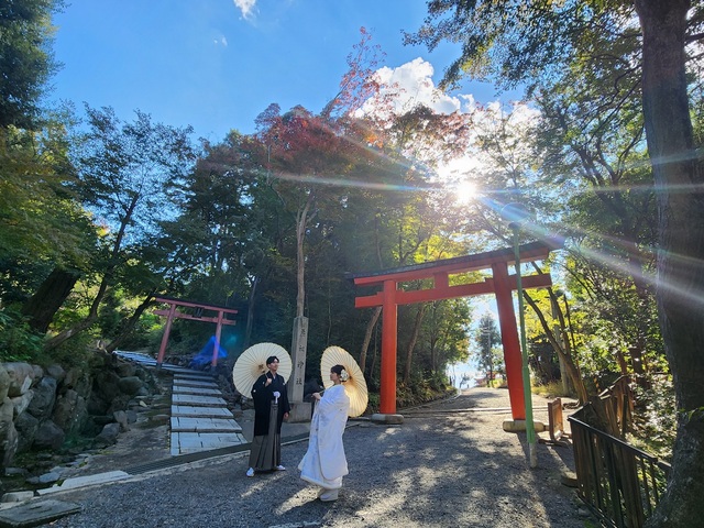 11月の和装洋装プランのご相談