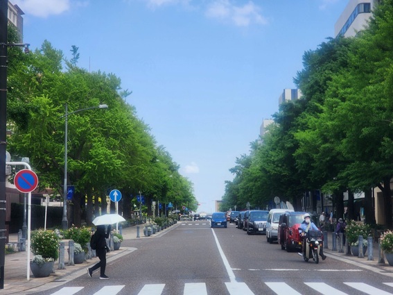 20250501_113043 (1).jpg