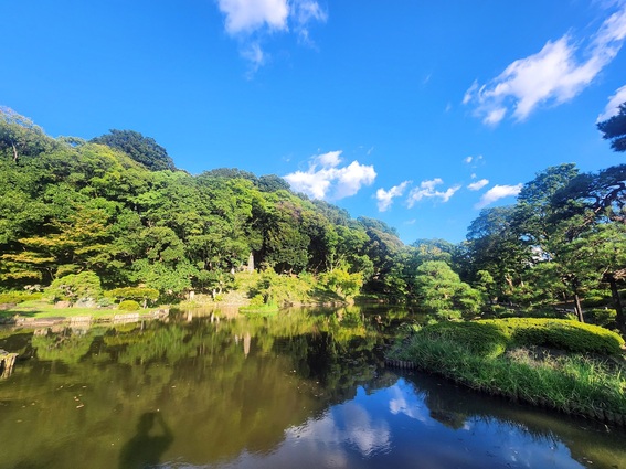 20240911_161201 (2).jpg