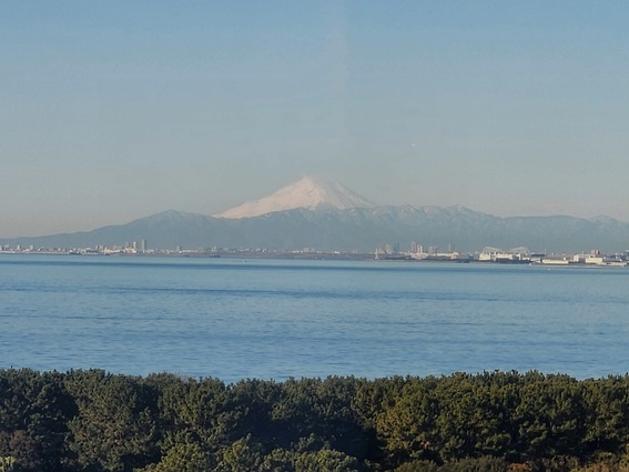 20250207_082708 (1).jpg