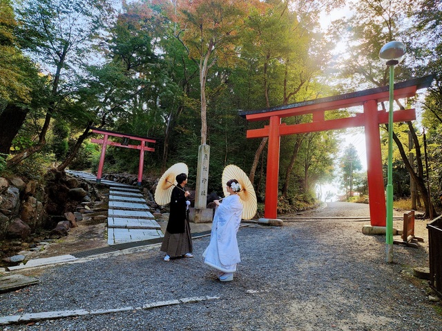 この日は京都慕情コースです。