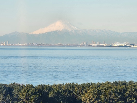 20250207_082757 (1).jpg