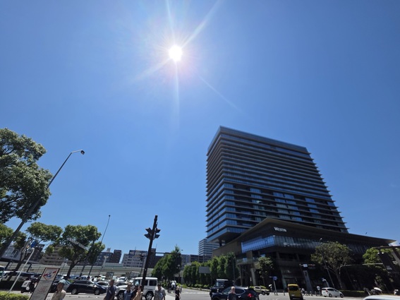 20250726_125553 (1).jpg