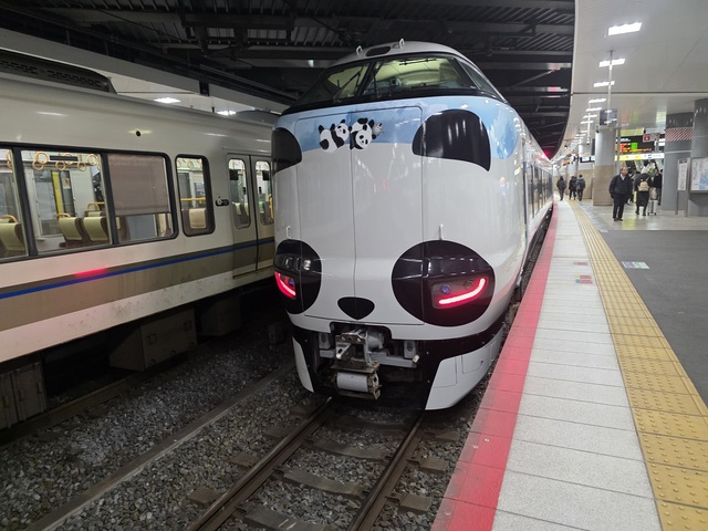 10月の虎ノ門花嫁様へ｜打合せレポ（2203）